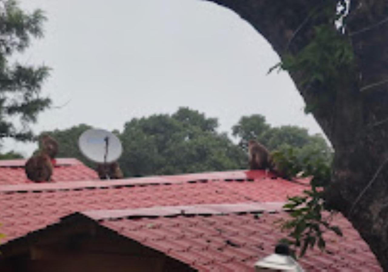 Kaas Woods Resort Yavateshwar Сатара Экстерьер фото
