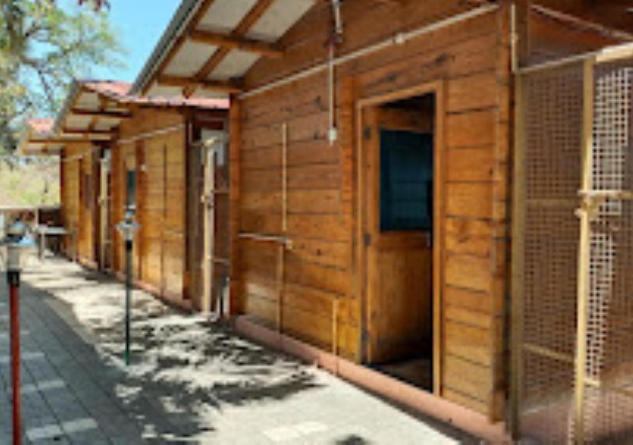 Kaas Woods Resort Yavateshwar Сатара Экстерьер фото